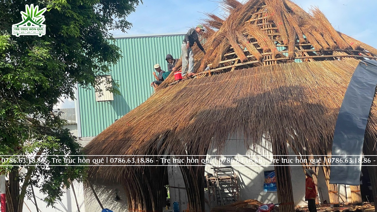 Lợp nhà tầm Vông tại Bình Phước